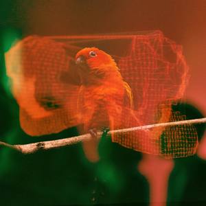 Gauntlet of the Red Sand