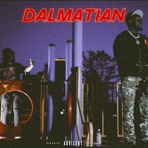 DALMATIAN (feat. 72bbyj) (Explicit)