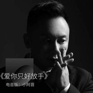 爱你只好放手 (旋律DEMO)