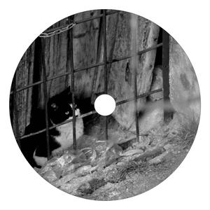 Stomach (Original Mix)