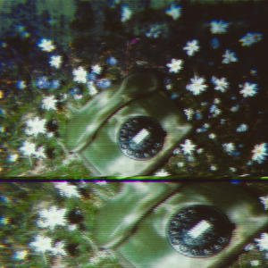 What Im looking for (Cosy Version|Cozy Version)