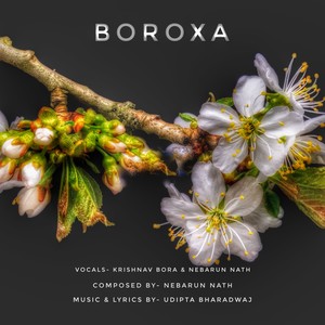 Boroxa