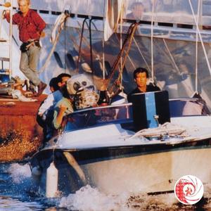 Live and Let Fly (Explicit)