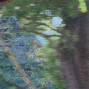 Poison Pool (Explicit)