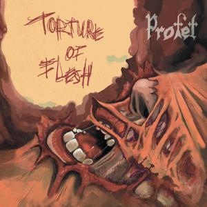 Torture of Flesh (Explicit)