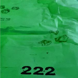 222 ((SLOWED) Slimbabyjesus Remix)