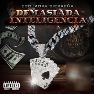 Demasiada Inteligencia