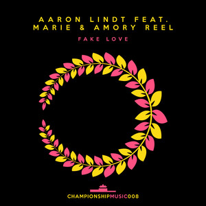 Fake Love (Extended Mix)