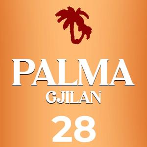 Arkivi njëzet e tetë Palma Gjilan