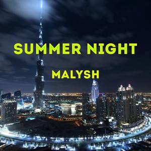 Summer Night (Original Mix)