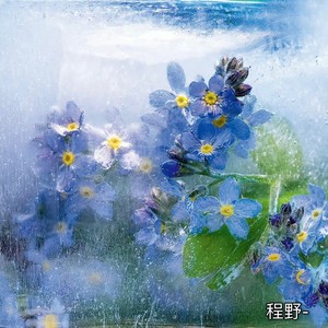 我的心已成冰[Prod.by.N2U]