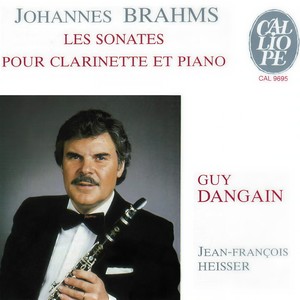 Clarinet Sonata No. 1, Op. 120 No. 1 - I. Allegro appassionato