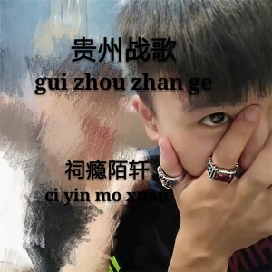 扬我贵州另类道