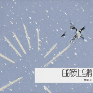 白鸽爱上乌鸦