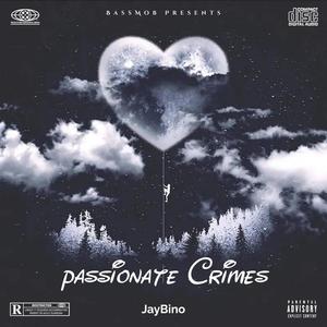 Passionate Crimes (Explicit)