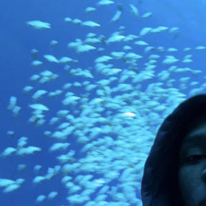 Monsters in me (Explicit)