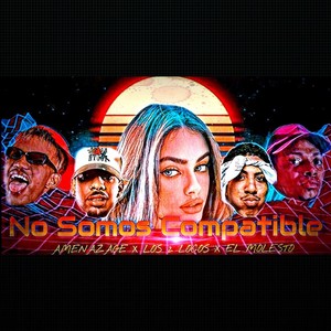 No Somos Compatibles (Oficial)