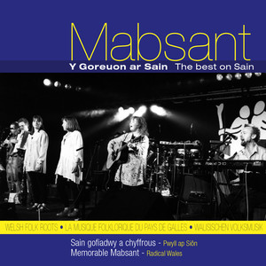 Y Goreuon Ar Sain / The Best On Sain