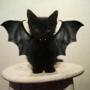 stay2myself (feat. davick)