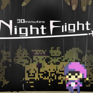 30 minutes Night Flight