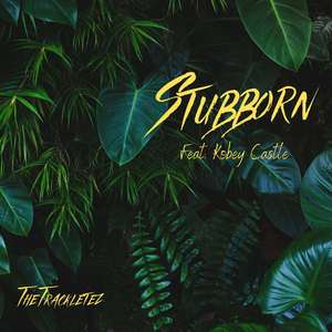 Stubborn (feat. Kobey Castle) [Explicit]