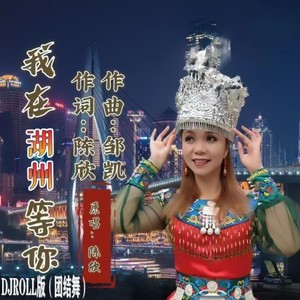 陈欣 - 我在湖州等你DJROLL版（团结舞）