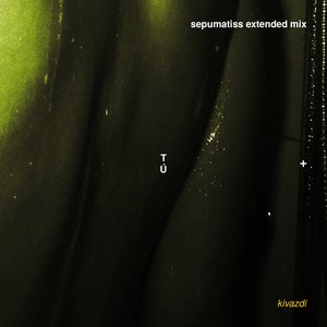 TÚ (Sepumatiss extended mix)