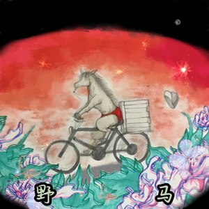 野马DEMO (Demo)