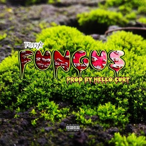 Fungus (Explicit)