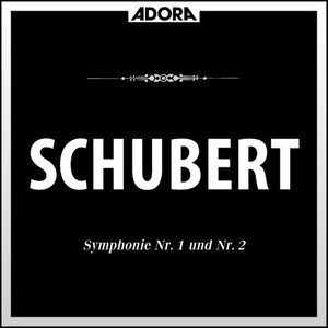 Symphonie No. 2 für Orchester in B-Flat Major, D. 125 - III. Menuetto - Allegro vivace