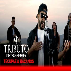 TECUPAE & BACANOS (feat. Chalo Rodríguez)