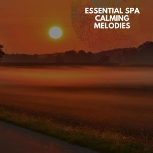 Only True (Original Mix)