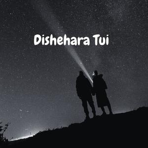 DisheharaTui