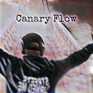 Canary Flow (Explicit)