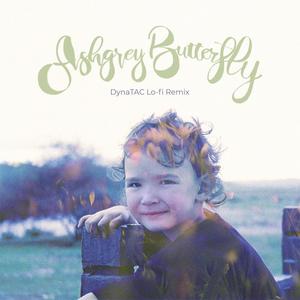 Ashgrey Butterfly (DynaTAC Remix Lo-fi Version)
