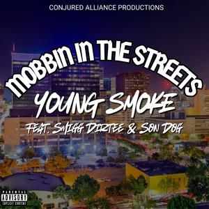 Mobbin In The Streets (feat. Smigg Dirtee & SonDog) [Explicit]