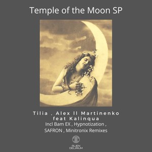Temple of the Moon (Minitronix Remix)