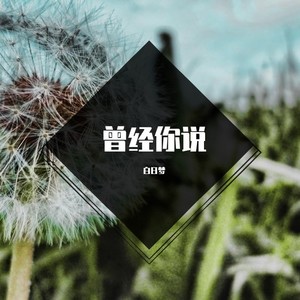 秋殇别恋 (混音新版)