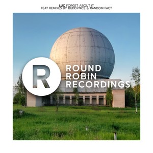 Forget About It (BuddyNice Redemial Remix)