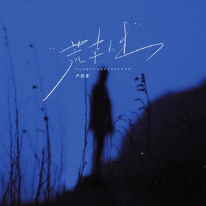 卢润泽 - 荒草人生