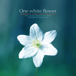 하얀 꽃 한 송이 (One white flower)