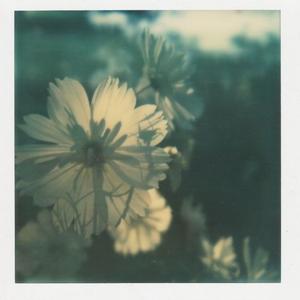 công viên ký ức