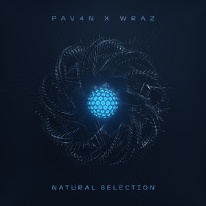 Natural Selection (Explicit)