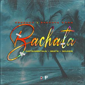 Bachata Steps Mix