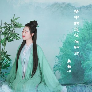梦中的莲花在开放