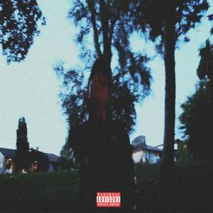 I JUST WANNA (Explicit)