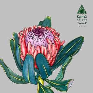 Dianta (Tonel' Remix)