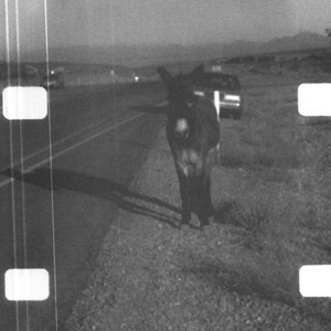 Ambient Loop For Vancouver (2004)