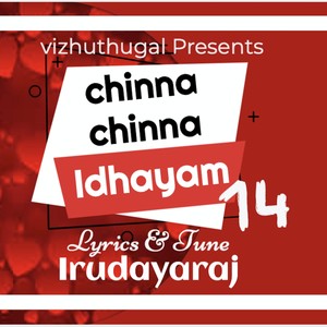 Chinna Chinna Idhayam 14