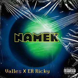 Namek (feat. ER Ricky) [Explicit]